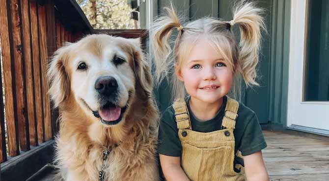 My SIL Sent Her 3-Year-Old into My House Through the Doggy Door – When I Found Out Why, My Blood Boiled