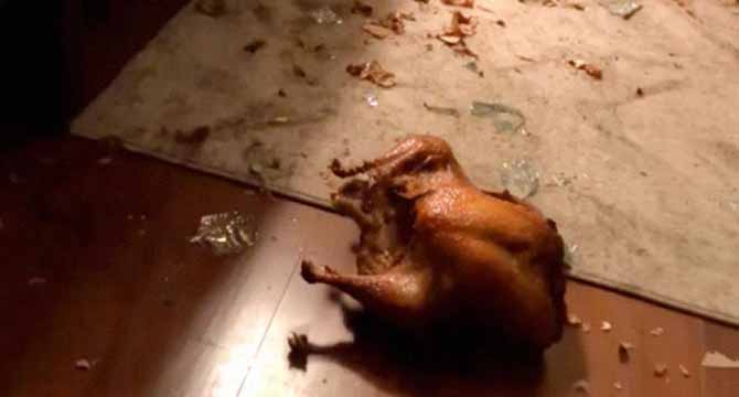 On Thanksgiving, My Daughter, 5, Threw Turkey onto the Floor — When I Asked Her Why, She Shouted, ‘I Saved You All!’