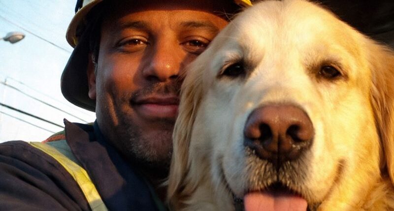 A Crowd Filmed a Dog Drowning—The Man Who Saved It Never Expected Who Would Show up Next