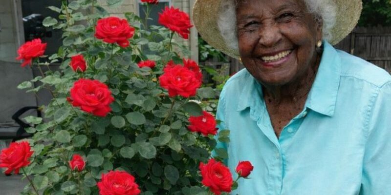 Grandma Asked Me to Move Her Favorite Rosebush One Year After Her Death – I Never Expected to Find What She’d Hidden Beneath It