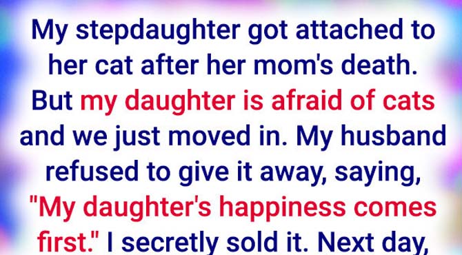 I Secretly Got Rid of My Stepdaughter’s Cat to Protect My Daughter