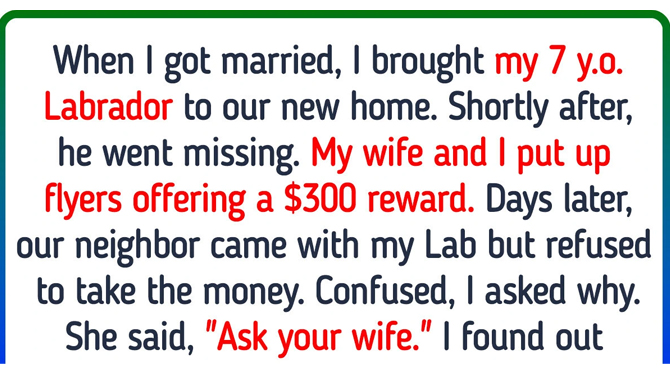 When I Got Married, I Brought My 7-Year-Old Labrador to Our New Home…