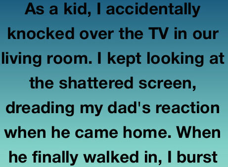 The Day I Broke the TV and Fixed Everything Else