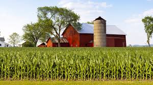 My Aunt Tried to Evict Me from My Grandpa’s Farm Right After He Died – but the Lawyer Said One Sentence That Made Her Go Pale