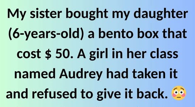 A 6-Year-Old Girl Stole My Daughter’s Lunchbox, and the Teacher Sided with the Thief. So, I Decided to Teach Them All a Lesson