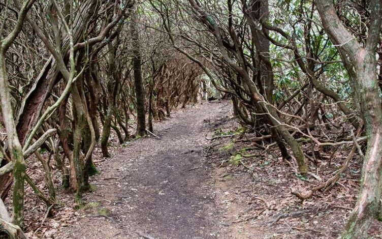 Part 2 — The Two-Day Hike