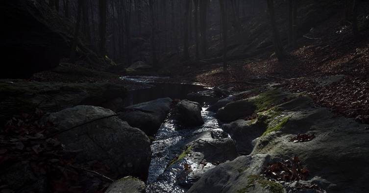 Part 1 — The Creek in the Woods