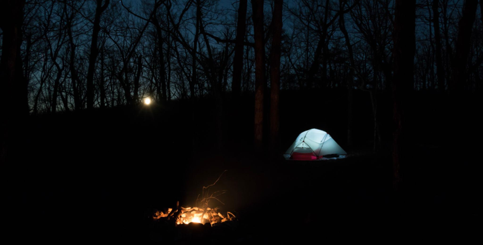 Part 1 — The Feeling in the Woods
