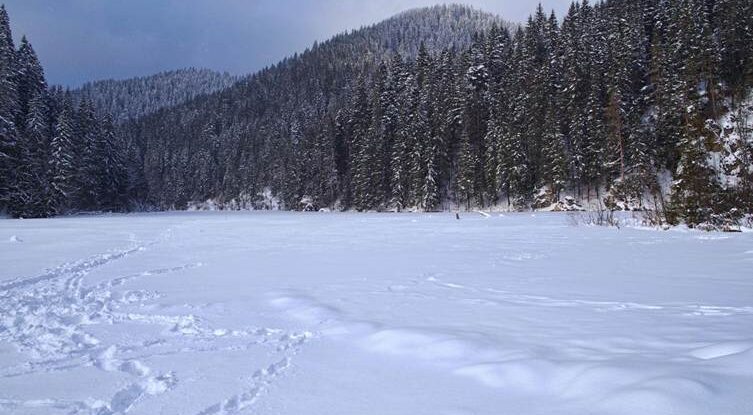 Part 1 — The Frozen Lake