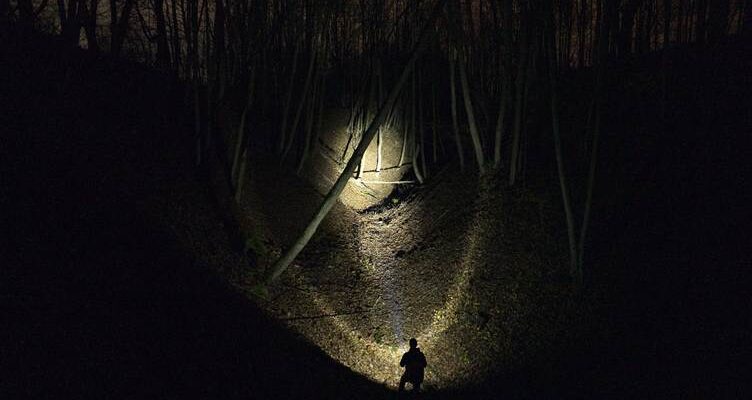 Part 3 — The Search Through the Trees