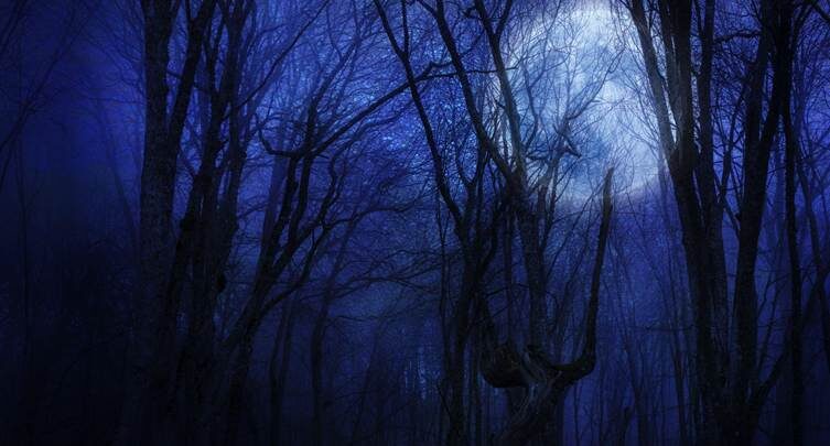 Part 4 — The Woman in the Woods