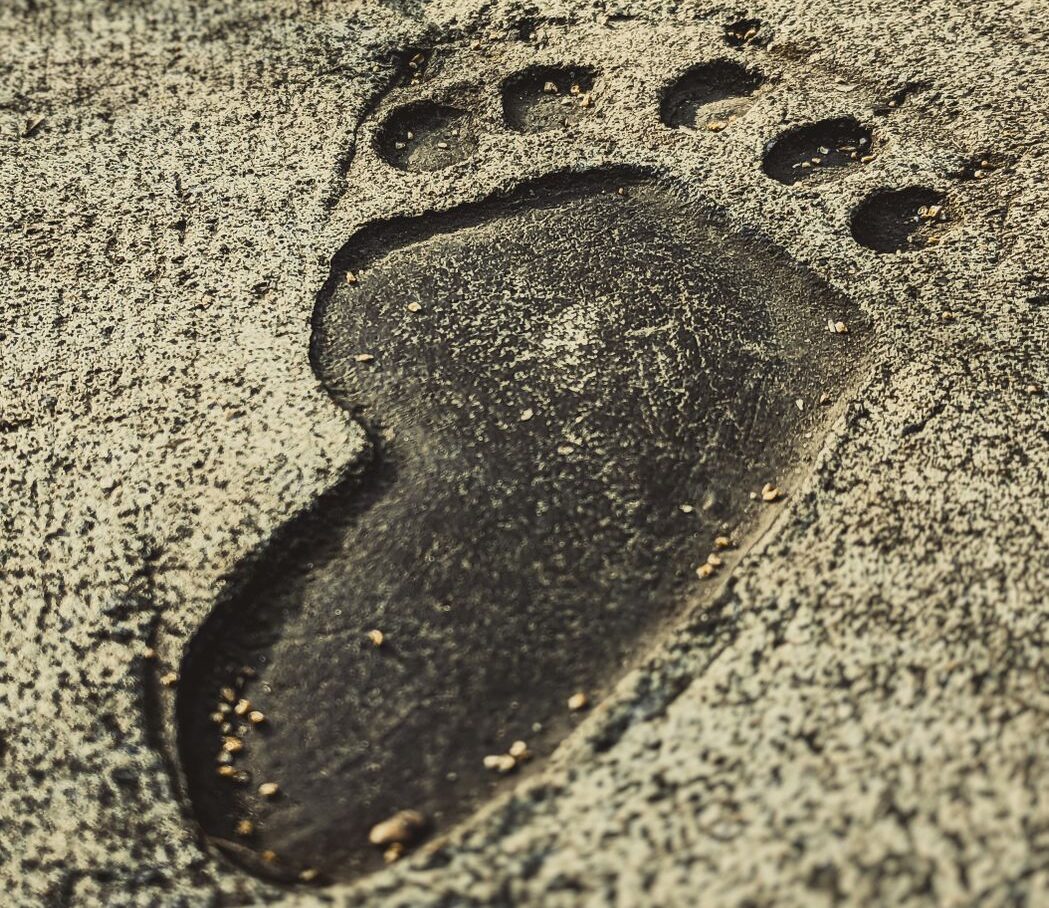 Part 2 — The Footprints in the Dirt