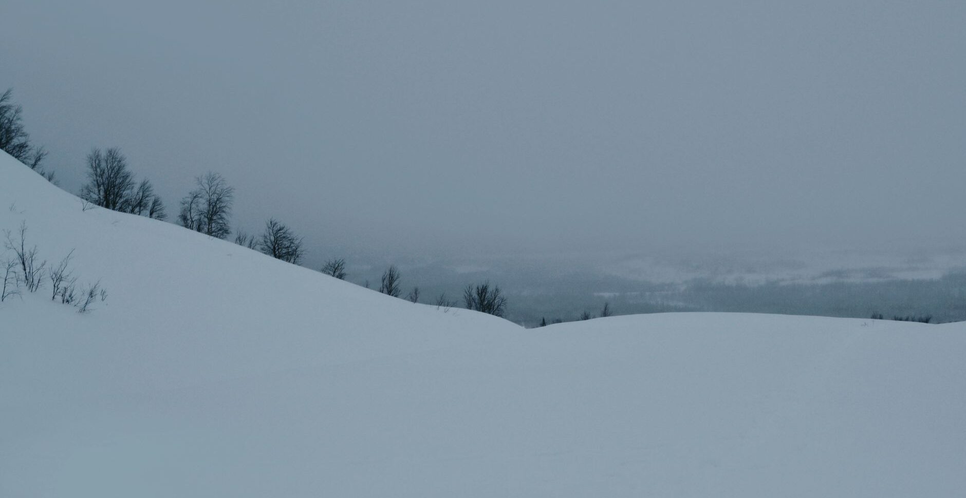Part 2 — The Whisper in the Blizzard