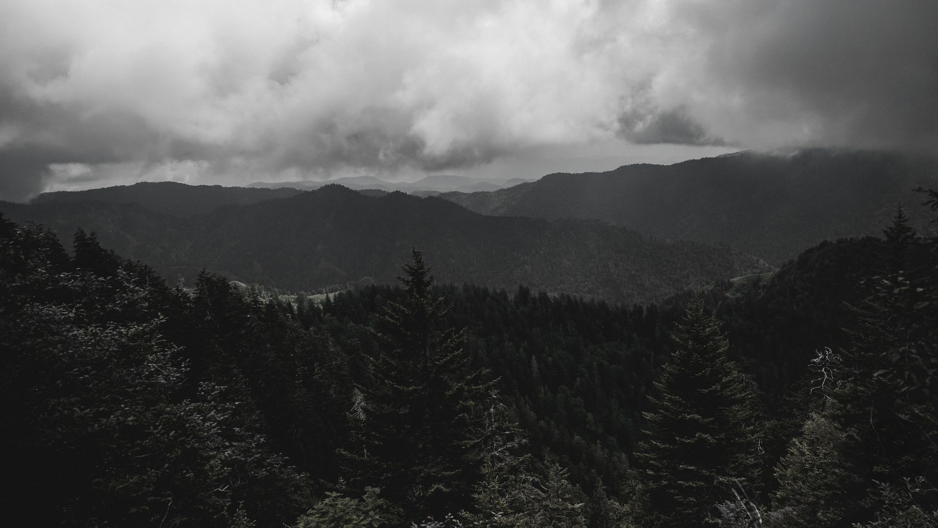 photo of mountains and green trees under a cloudy sky