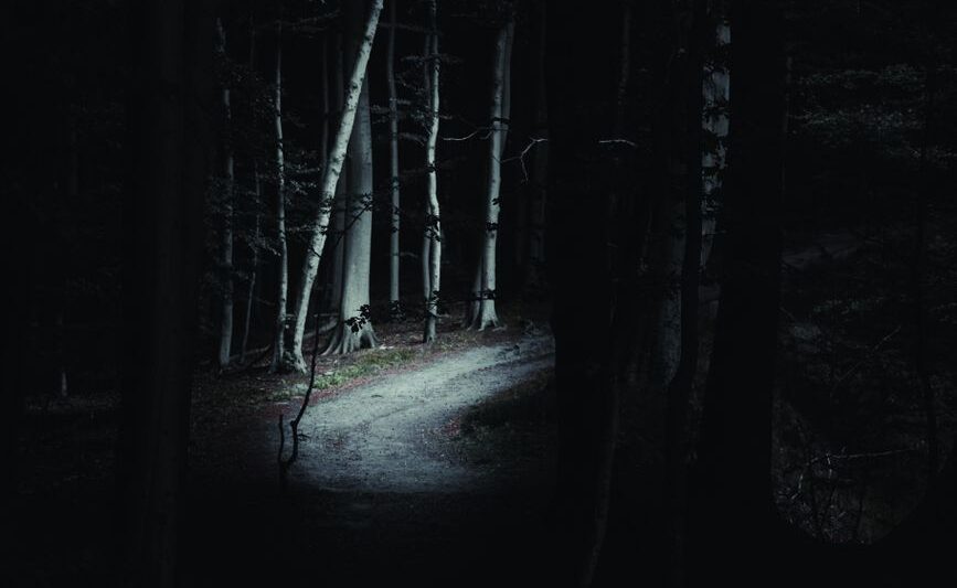 mysterious forest path at night