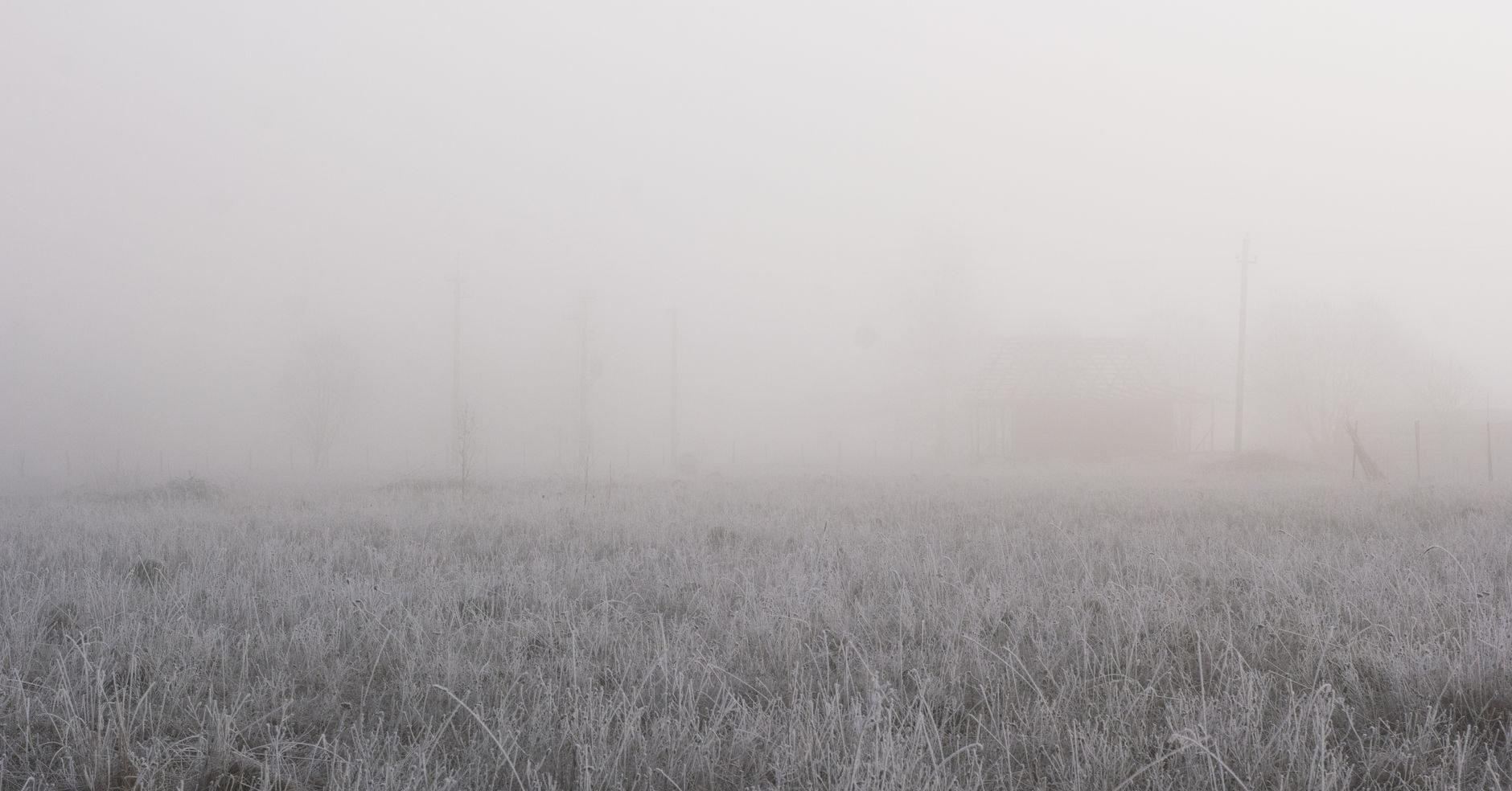 My GPS Led Me to A Farm That Doesn’t Exist on Any Map — The Family Inside Already Knew My Name